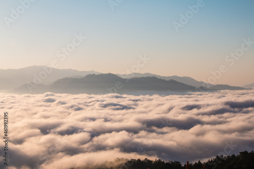 mist and trees that look beautiful © noppakit rattanathon