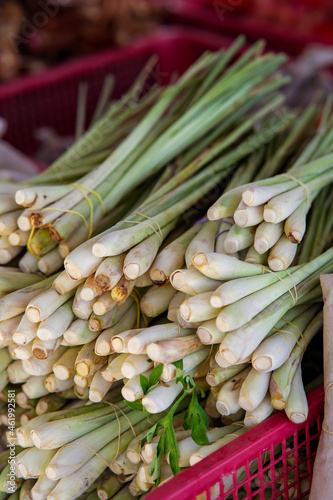 Stacked of lemongrass, bottom view.