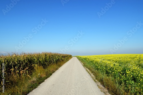 Road in the field