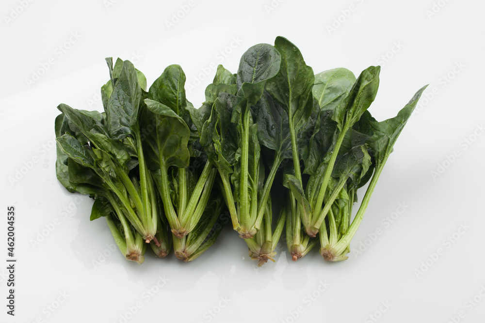 시금치,봄나물,뿌리,한약,한약재,건강,고해상,다수,두릅,사람없,음식물,신선,오브젝트,웰빙,조각보,채반,초록색,컨셉,하이앵글,화이트