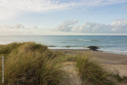 Coastal landscape with dune and beach grass.