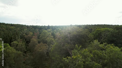 Virginia Water Lake fly over forest photo