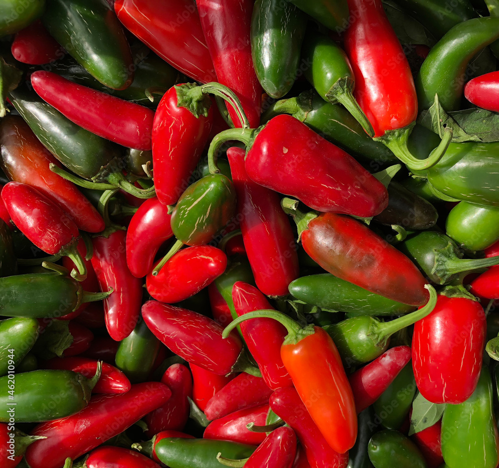 Ripe Jalapeños Ripe Jalapeños
