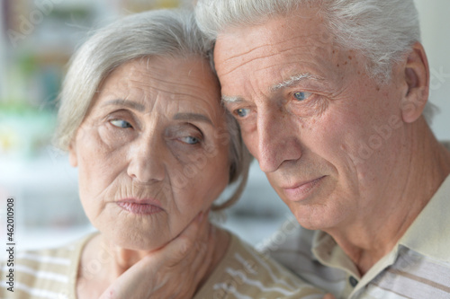 portrait of an elderly couple at home © aletia2011