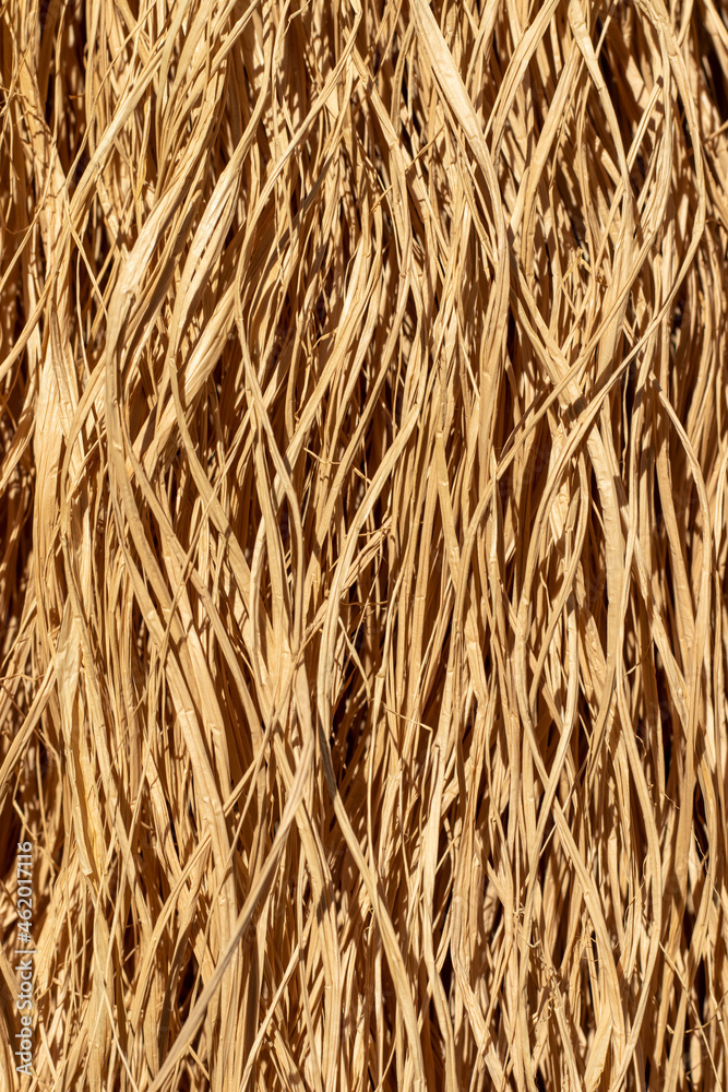 Straw texture background. Close up. Straw texture background. Close up.