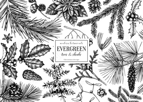 Christmas greeting card or invitation design. Vector frame with hand drawn conifer and winter plants sketches. Vintage background with pine, spruce, cypress, fir, larch and juniper illustration.