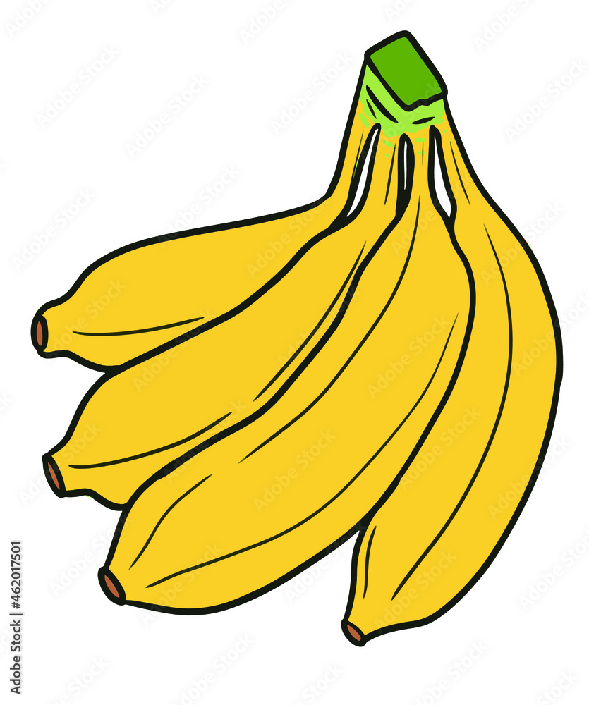 Bunch of yellow bananas. This tropical fruit is grouped into a group of four. Vector illustration. 