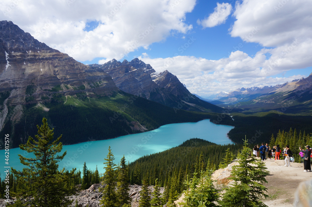 Peyto lake, National Park Banff in the Rocky Mountains