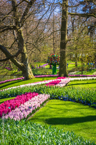 Keukenhof, The Netherlands - Tulip Keukenhof park in Holland