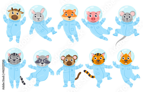 Cartoon cute animals, pig, mouse and cat astronauts in space suits. Space cosmonauts raccoon, cow, monkey vector illustration set. Galaxy animals astronauts