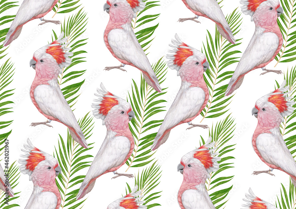 Seamless Pattern with hand-drawn Cockatoos and palm leaves, digitally colored