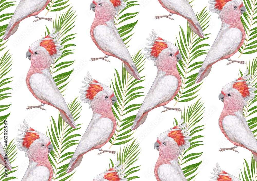 Seamless Pattern with hand-drawn Cockatoos and palm leaves, digitally colored Seamless Pattern with hand-drawn Cockatoos and palm leaves, digitally colored