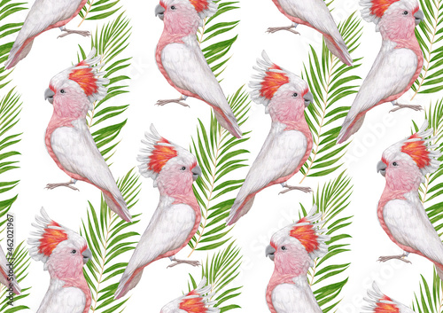 Seamless Pattern with hand-drawn Cockatoos and palm leaves, digitally colored