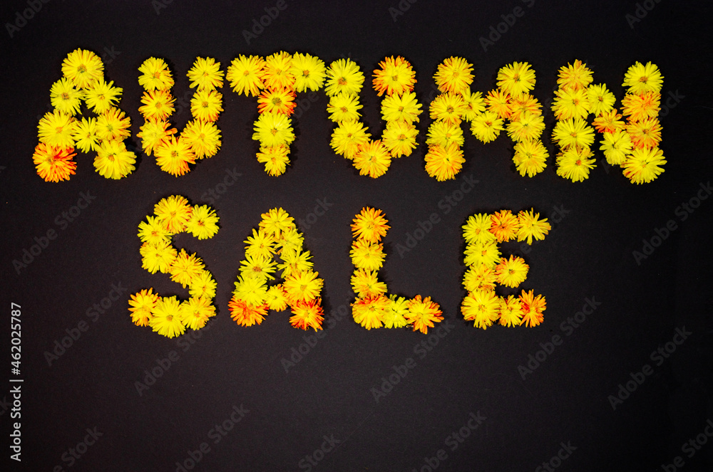 Words Autumn Sale made of yellow flowering heads of chrysanthemums flowers. Fall sales. Flat lay. Black background with copy space.