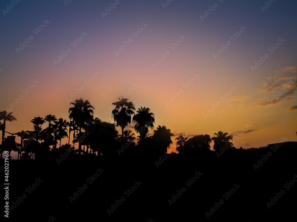 Silhouette of palm trees at sunset.