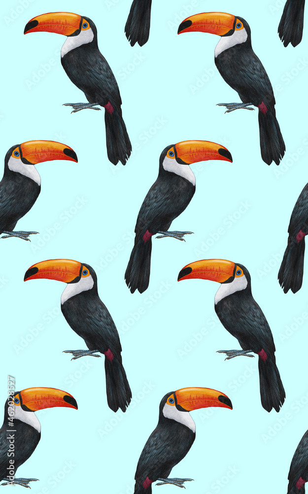 Obraz premium Seamless Pattern with hand-drawn Toucan , digitally colored