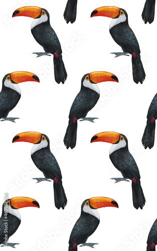 Seamless Pattern with hand-drawn Toucan   digitally colored