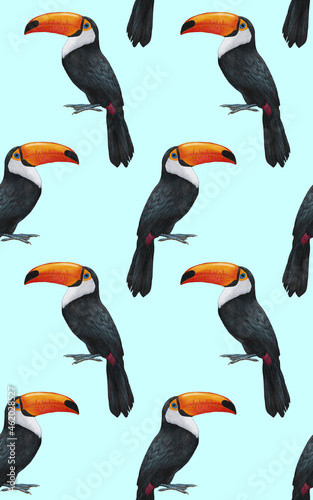 Seamless Pattern with hand-drawn Toucan   digitally colored