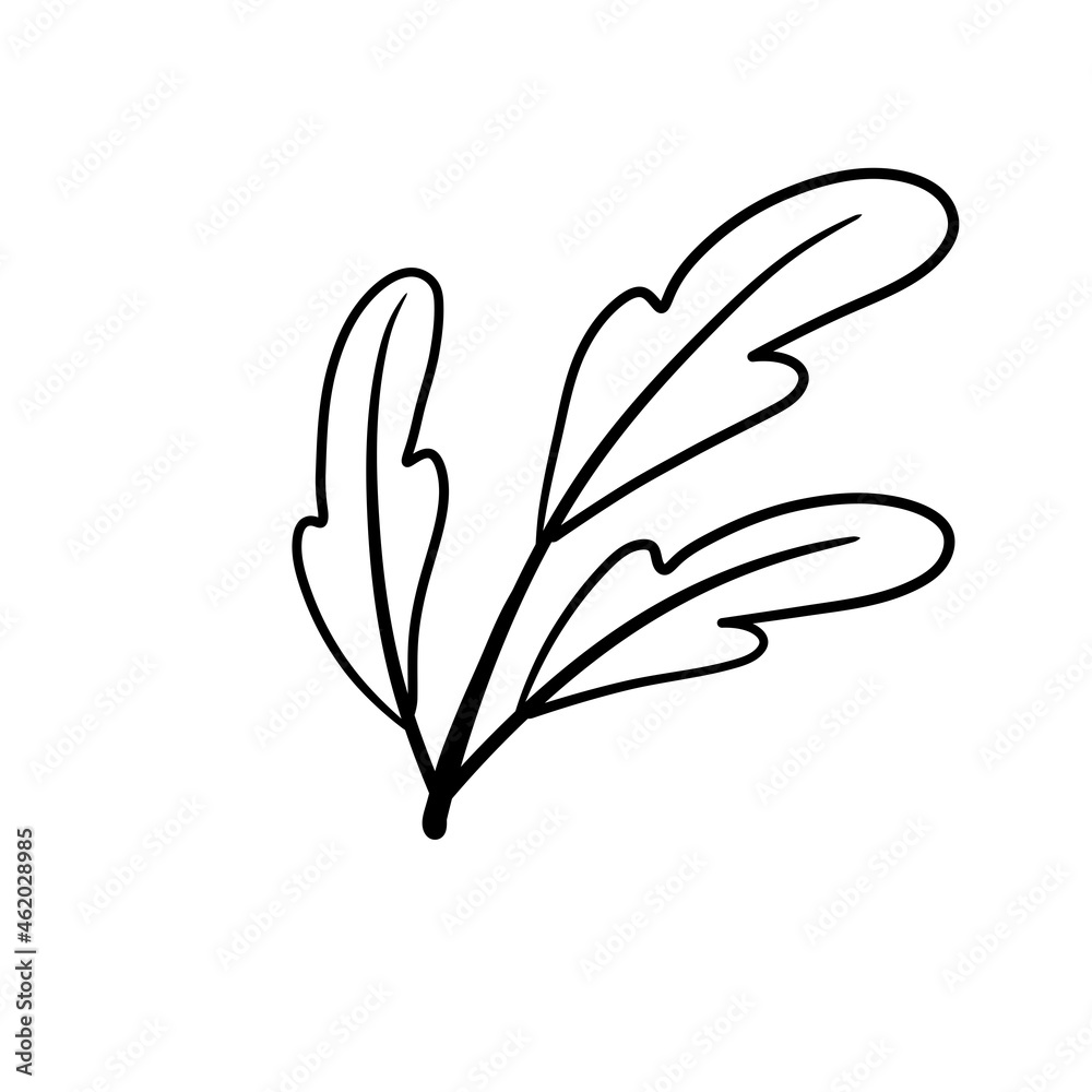 Branch of plant. Leaves in line style. Black and white natural illustration. Minimalism and simple flora.