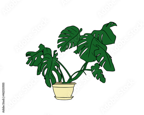 Green Monstera in a pot hand-drawn,homemade exotic flower. Vector illustration