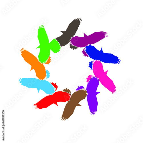 tame colorful eagle as a symbol of protected animals