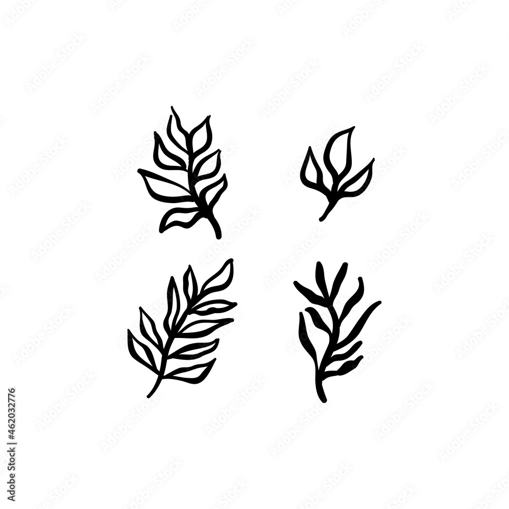 Little branches and floral doodles, hand drawn sketch drawings of plants, branches and leaves. Vector illustration. Little branches and floral doodles, hand drawn sketch drawings of plants, branches and leaves. Vector illustration.