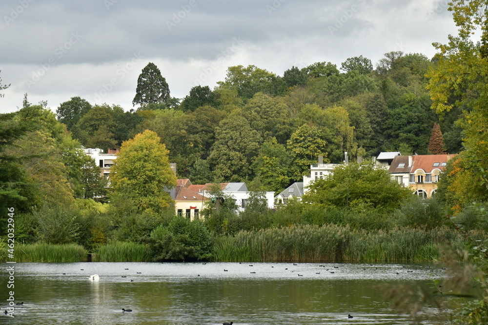 Habitations dissimulées dans la végétation luxuriant à la réserve naturelle des Etangs de Boitsfort à Watermael-Boitsfort au sud-est de Bruxelles Habitations dissimulées dans la végétation luxuriant à la réserve naturelle des Etangs de Boitsfort à Watermael-Boitsfort au sud-est de Bruxelles