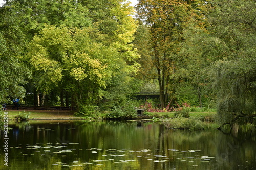 Fototapeta Naklejka Na Ścianę i Meble -  Végétation luxuriante au début de l'automne autour de l'étang du parc Tournay-Solvay à Watermael-Boitsfort 