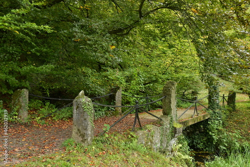 Pont rustique sous la végétation luxuriante du bois au parc Tournay-Solvay à Watermael-Boitsfort 