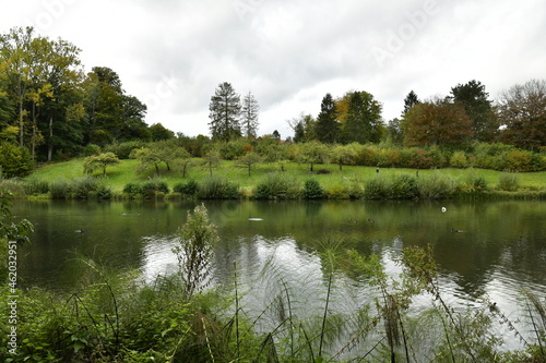 la végétation sauvage autour d'un étang à la réserve naturelle des étangs de Boitsfort à Watermael-Boitsfort  photo