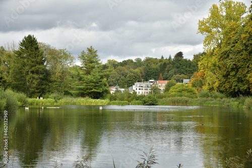 Les étangs de Watermael-Boitsfort avec sa végétation luxuriante contrastant avec les immeubles en plein bois au sud de Bruxelles