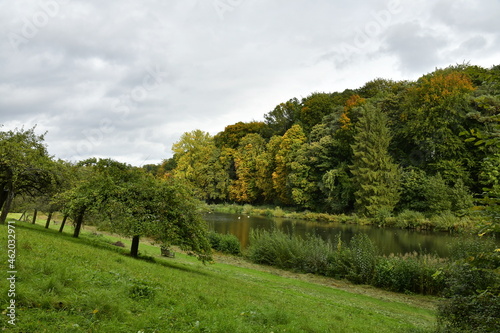 Végétation luxuriante au début de l'automne à la réserve naturelle aux Etangs de Boitsfort à Watermael-Boitsfort au sud-est de Bruxelles 