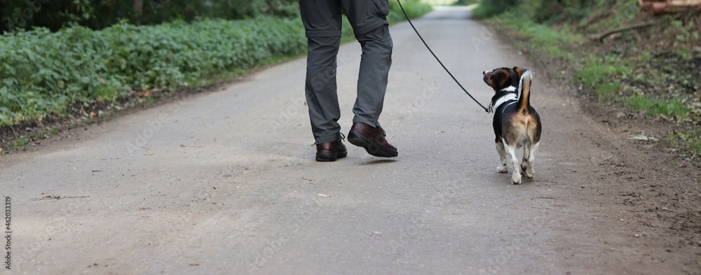 mann mit hund spaziergang