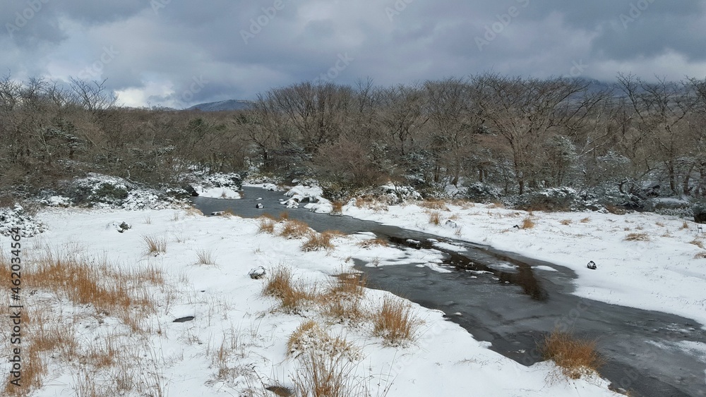 대한민국 제주도 1100고지, 1100 Altitude Wetland 대한민국 제주도 1100고지, 1100 Altitude Wetland