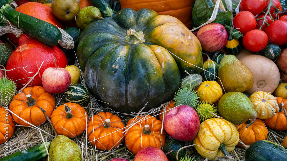 Thanksgiving big green pumpkin and gourds, apples, chestnut on a local street market. Halloween decoration