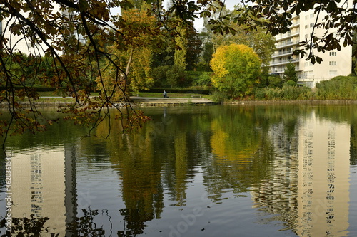 L'arbre en boule à feuillage en partie dorée se reflétant dans les eaux de l'étang de la pêcherie au parc de la Héronnière à Auderghem 