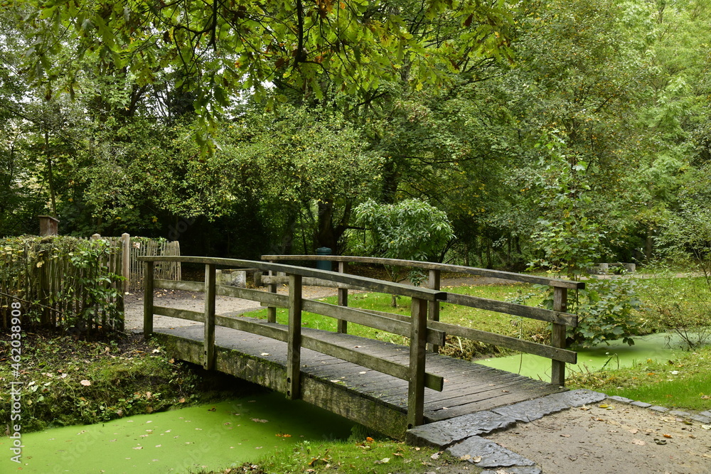 Le petit pont en bois traversant les eaux couvertes de mousse du Watermaelbeek au parc de la Héronnière à Auderghem