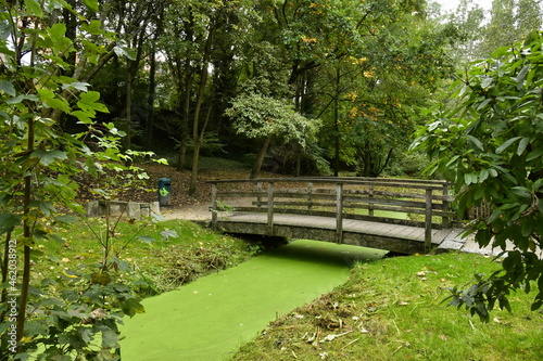 Le petit pont en bois traversant les eaux couvertes de mousse du Watermaelbeek au parc de la H  ronni  re    Auderghem