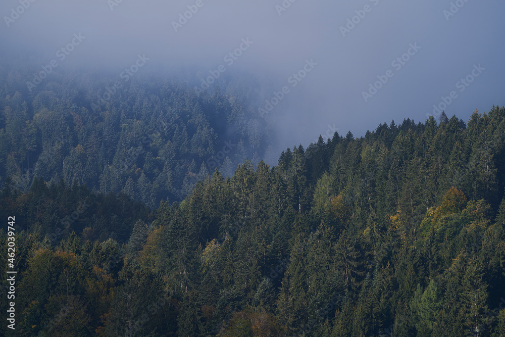 Herbstnebel Herbstnebel