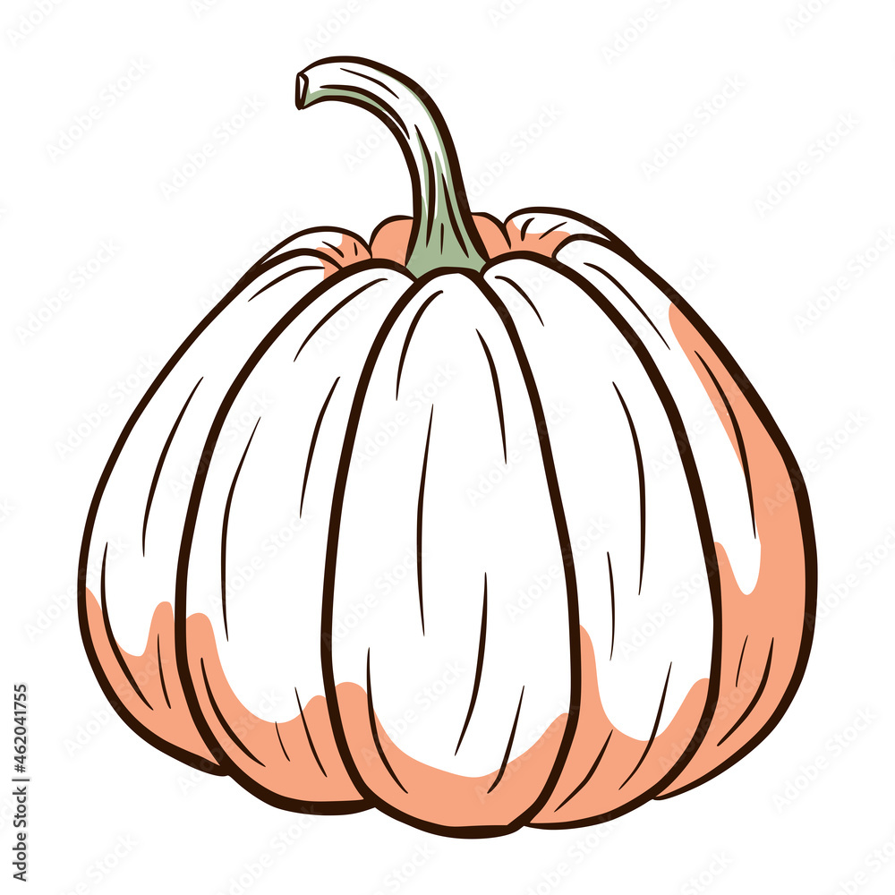 Juicy Pumpkin Image. Autumn Food Illustration. Ripe squash sketch. Element for autumn decorative design, halloween invitation, harvest, sticker, print, logo, menu, recipe Juicy Pumpkin Image. Autumn Food Illustration. Ripe squash sketch. Element for autumn decorative design, halloween invitation, harvest, sticker, print, logo, menu, recipe