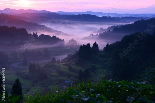 mist over the mountain in Japan