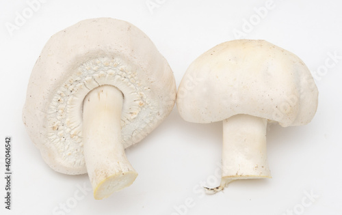 Champignon mushrooms on a white background.