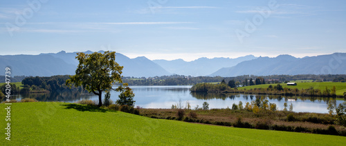 Panorama of a lake in Bavaria  Germany. With silhouette of the Alps. In the foreground a cattle pasture and a freestanding tree and riverside landscape