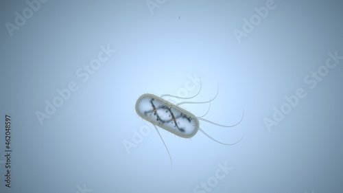 Escherichia Coli (E. Coli.), gram-negative rod-shaped bacteria, part of the intestinal normal flora and the causative agent of diarrhea and inflammation of various locations, 3D illustration