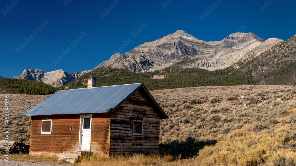 Wilderness Cabin in the remote backcountry of Idaho