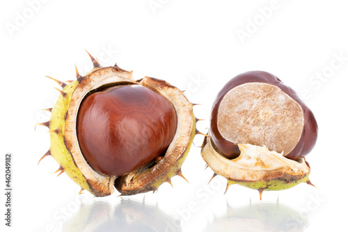 Two unpeeled chestnuts, close-up, isolated on white.