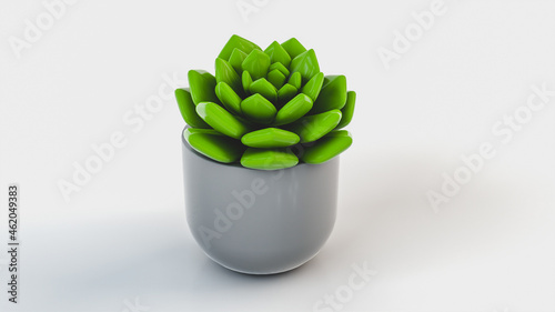 Ornamental plant succulent in a gray pot on a white background. 3d rendering illustration.