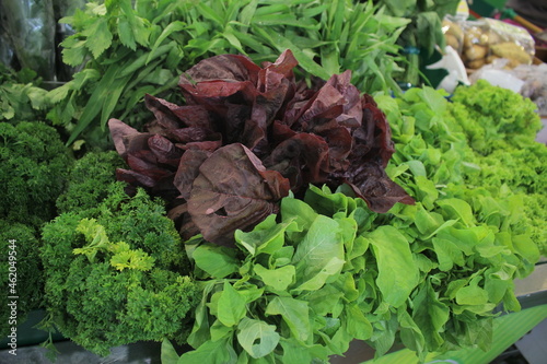 red and green lettuce