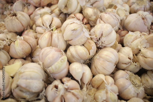bunch of garlic on market