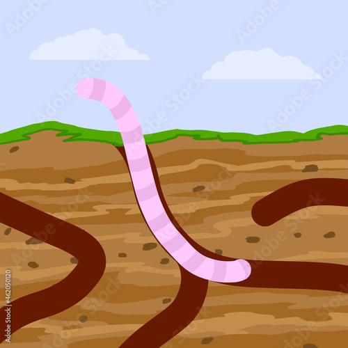 Worm in ground. Spring concept. Burrows and passages. Nature and insect. Soil in section. Flat cartoon illustration
